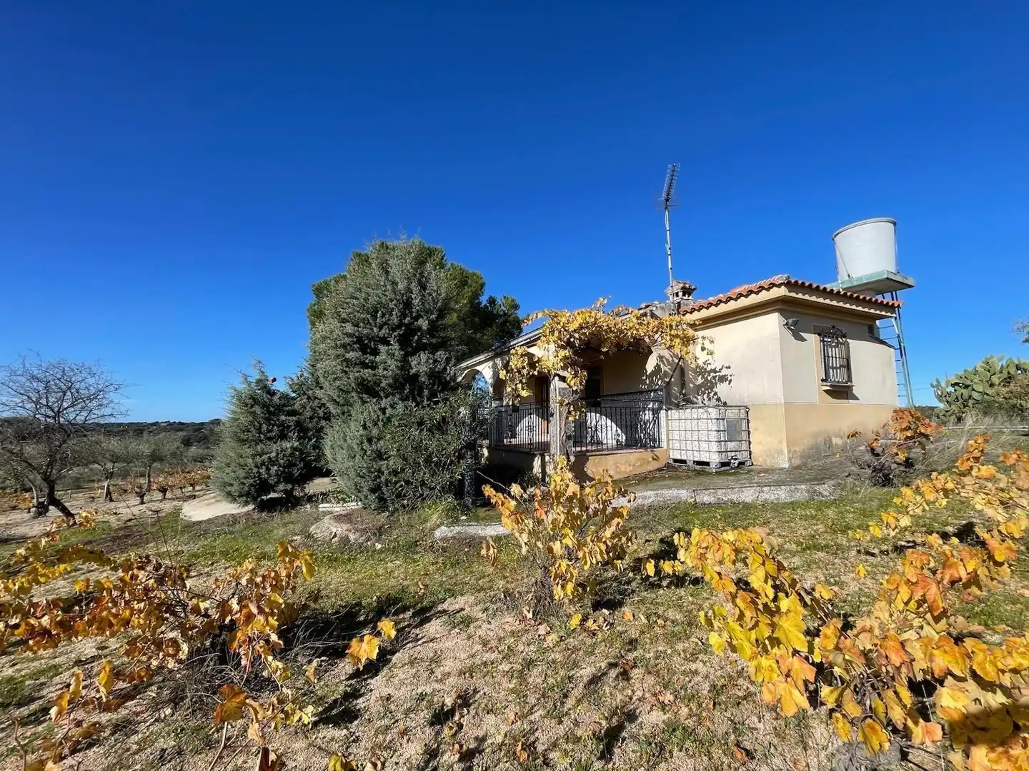 Vista exterior de Casa o chalet en venta en Arroyo de la Luz con Amueblado