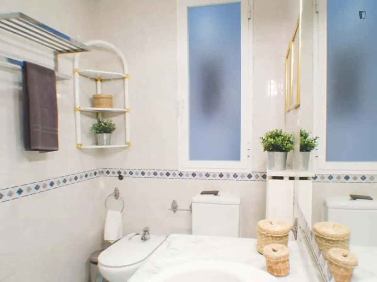 Bany de Apartament per a compartir en Madrid amb Moblat, Forn i Rentadora