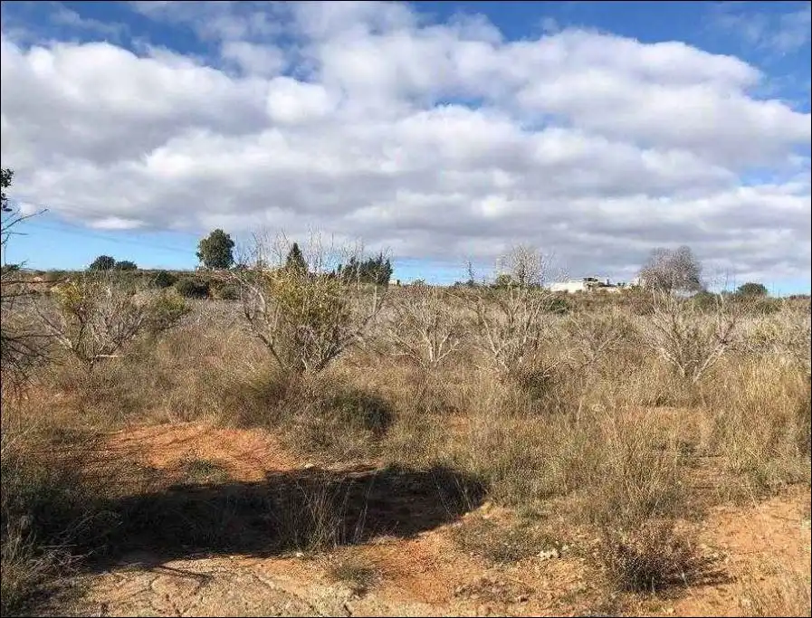 Rural land for sale in Pr Fuente de la Morera, imagen 9