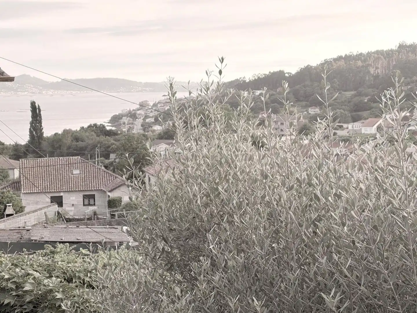 Country homes for sale in Samieira