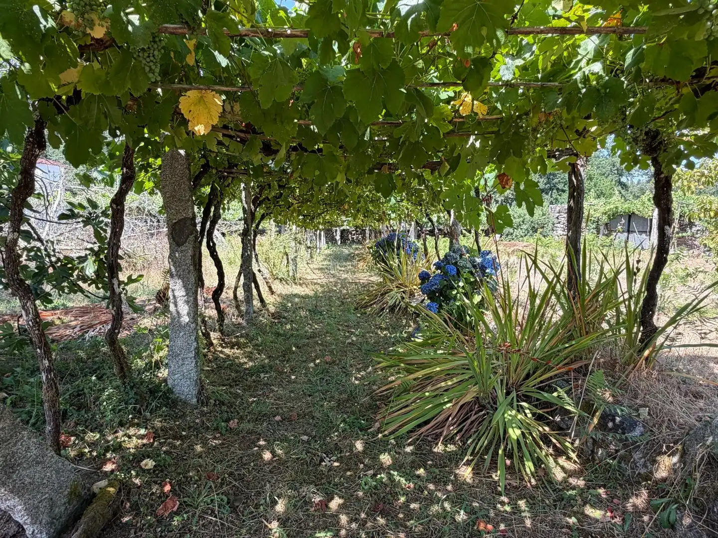 Casa o xalet en venda en Salvaterra de Miño amb Jardí privat i Parquet