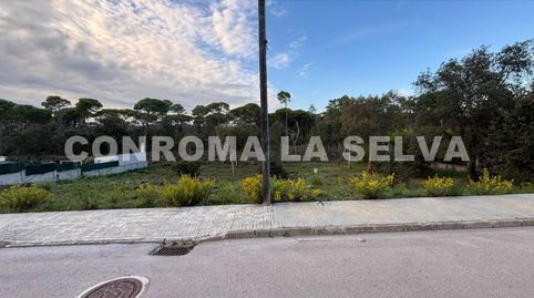 Urbanización King Park es una zona residencial de carácter tranquilo y de ambiente familiar  SILS