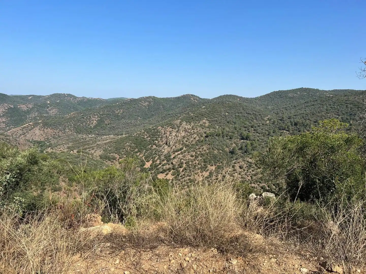 Grundstücke und Bauplätze zum Verkauf in Sureste, imagen 12