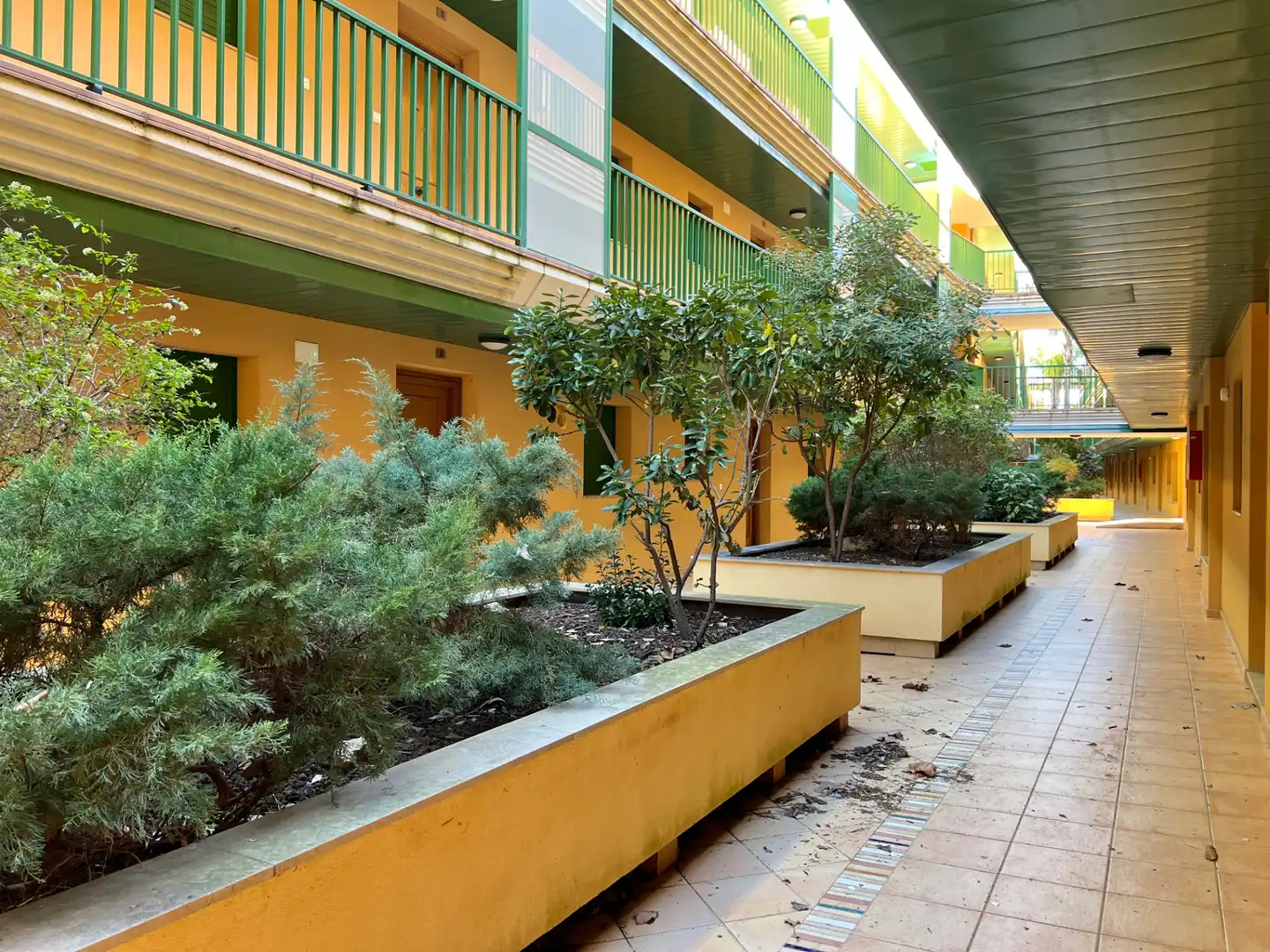 Vista exterior de Piso en venta en Amposta con Jardín privado, Terraza y Amueblado