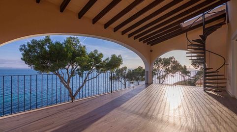 Foto 2 de Finca rústica en venta en Port d'Alcúdia - Platja d'Alcúdia, Alcúdia