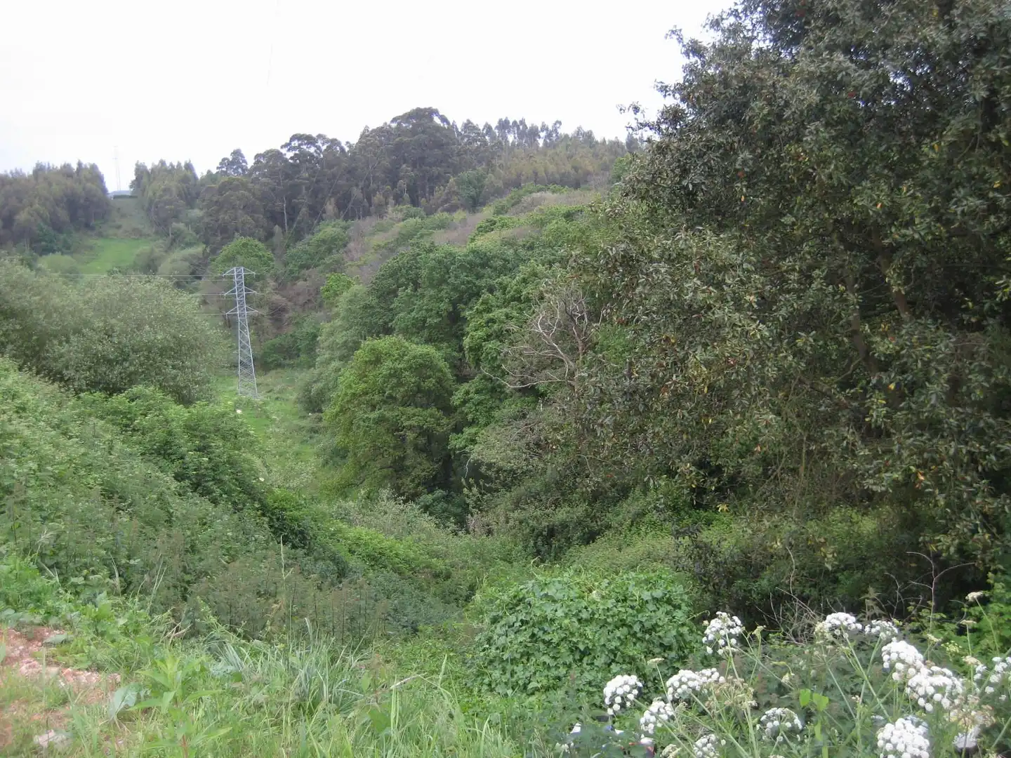 Terreno residenziale in vendita a N/A, imagen 9