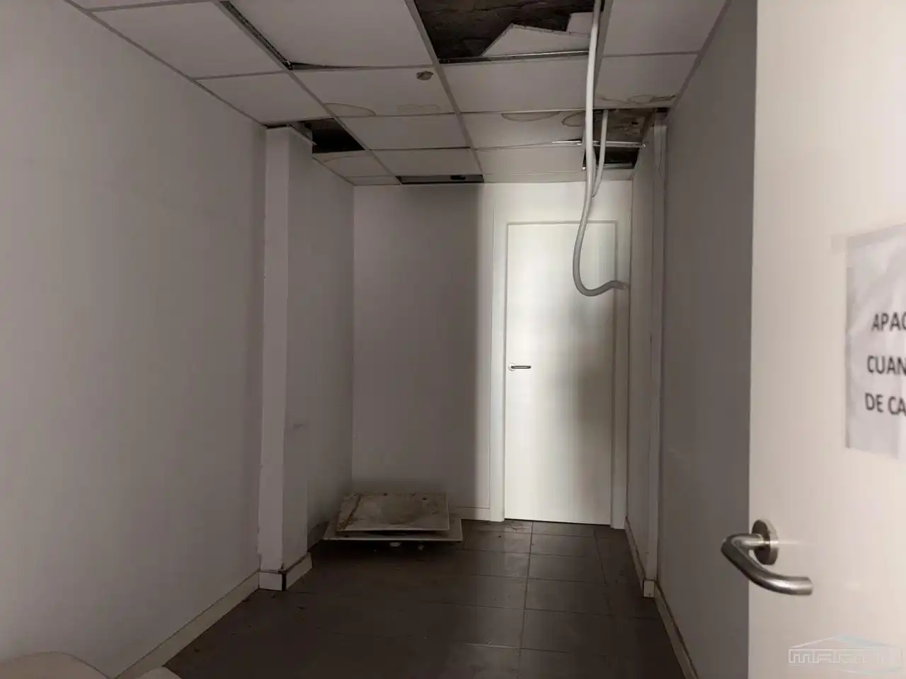 Gewerbefläche zur Miete in Del Parque, imagen 21