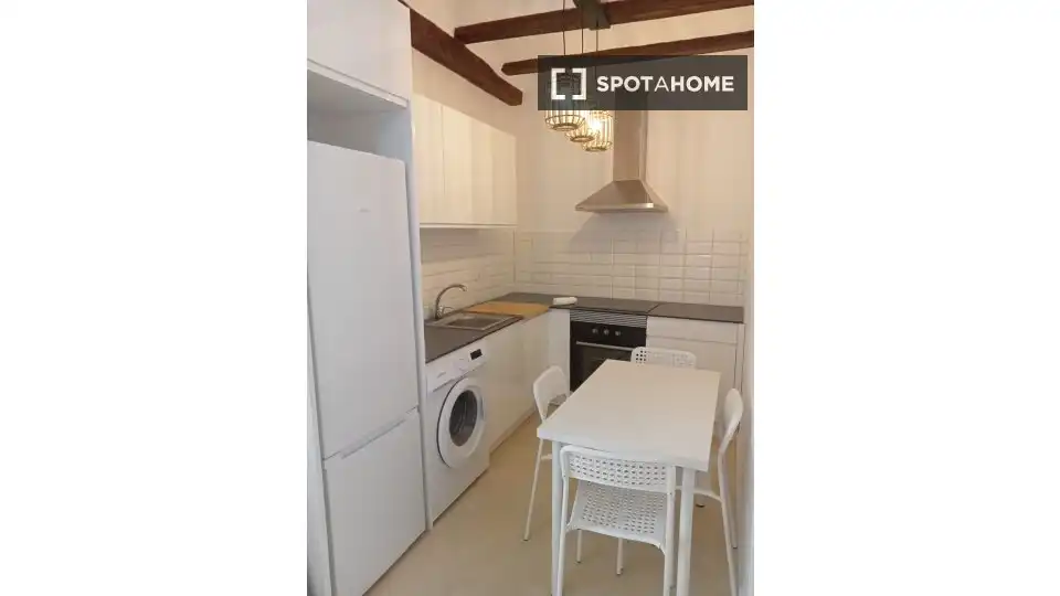 Appartamento con terrazza in affitto a Ciutat Vella, imagen 8
