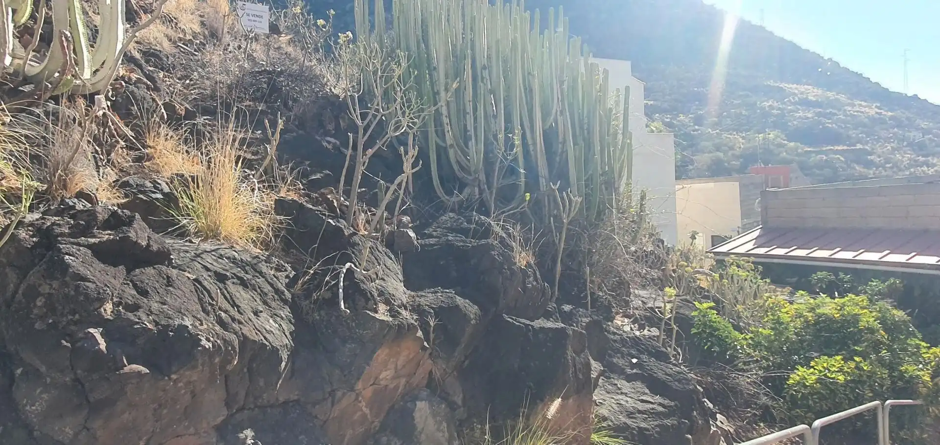 Garden of Residential for sale in Santa Cruz de Tenerife