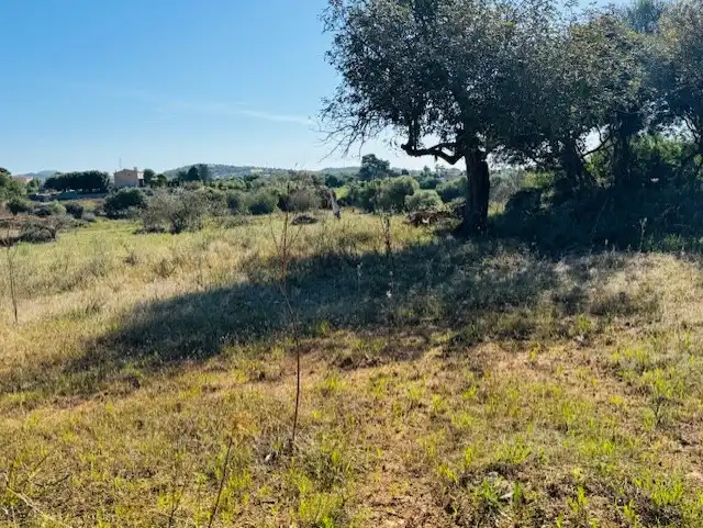 Land for sale in Manacor
