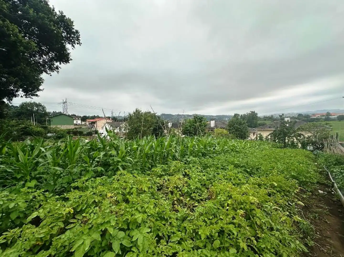 Land for sale in Reocín