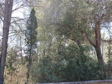 Terreno residencial en venta en Bacarés - Manresa - Bonaire