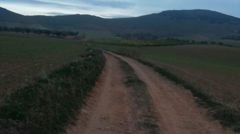 oferta de finca rustica 8.900 en  Mascaraque, immagine 3