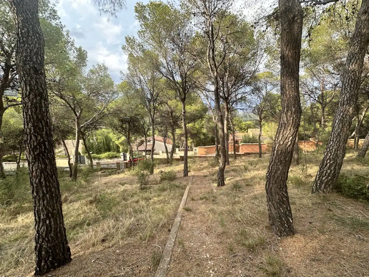 Wohnbaugrundstück zum Verkauf in Torres Torres, imagen 52