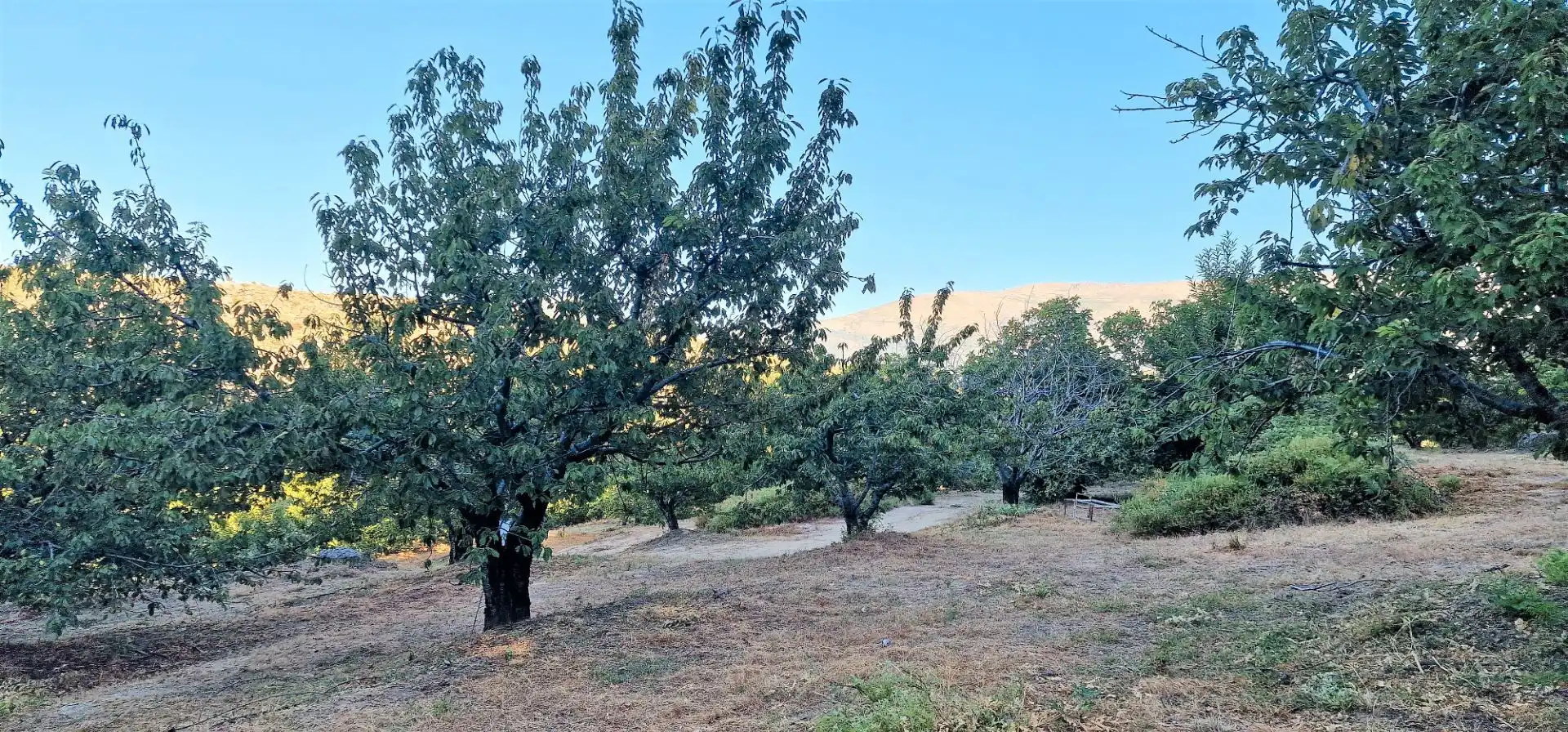 Terreni e lotti in vendita a Aldeanueva de la Vera, imagen 16