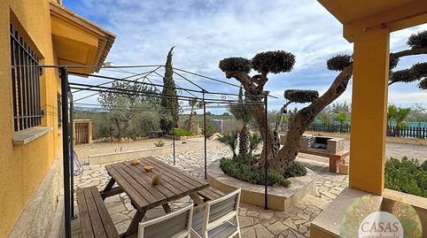 GRAN FINCA RÚSTICA DE OLIVOS, imatge 3