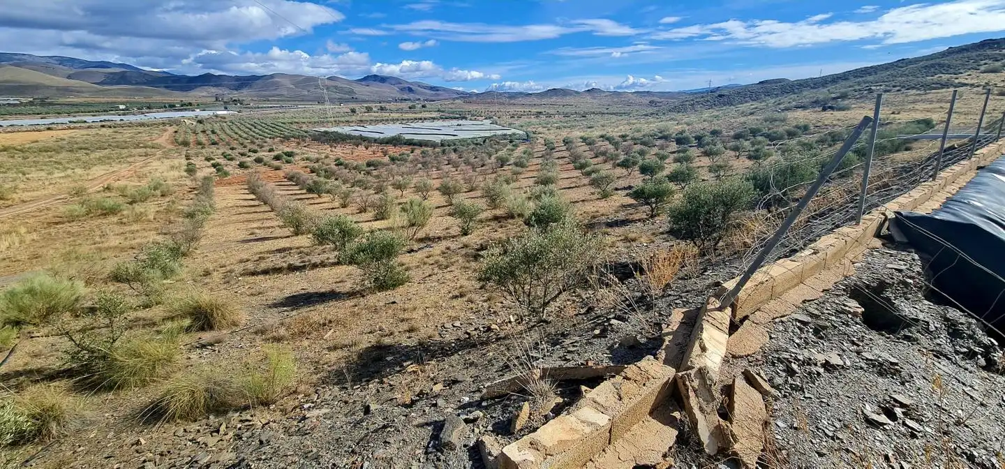 Lands and plots for sale in Campo de Gergal, imagen 2
