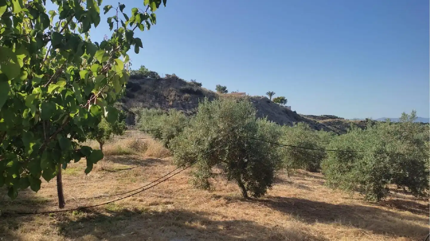 Terrain rustique à vendre à Huércal-Overa, imagen 2