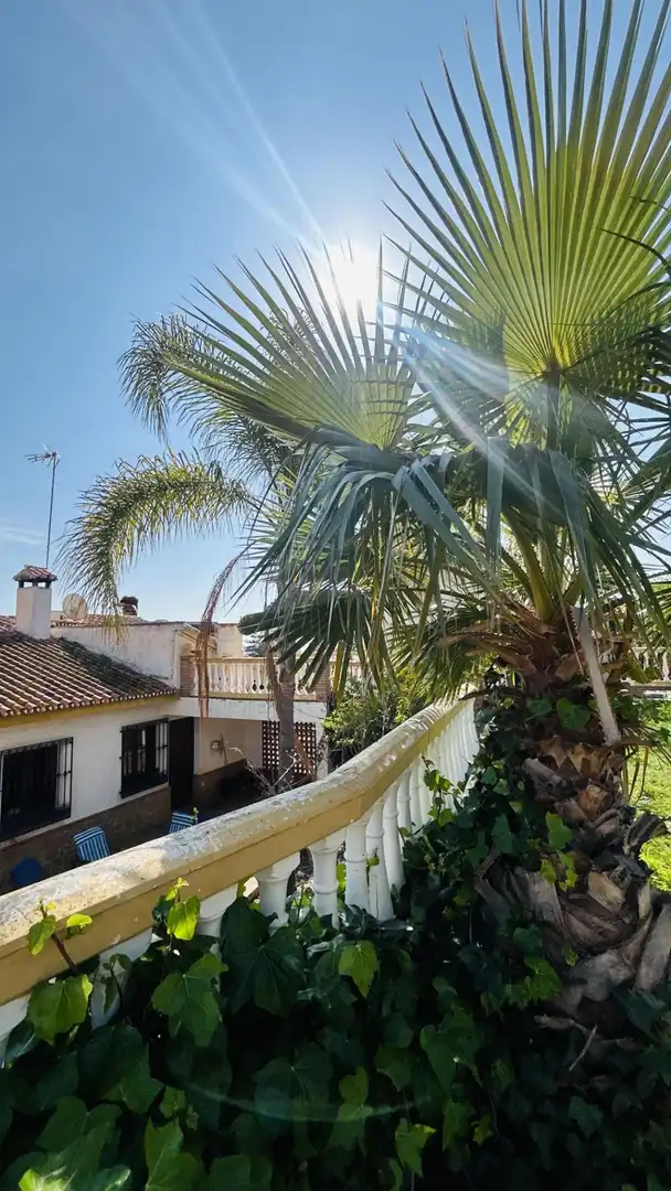Vista exterior de Casa o chalet en venta en Vélez-Málaga