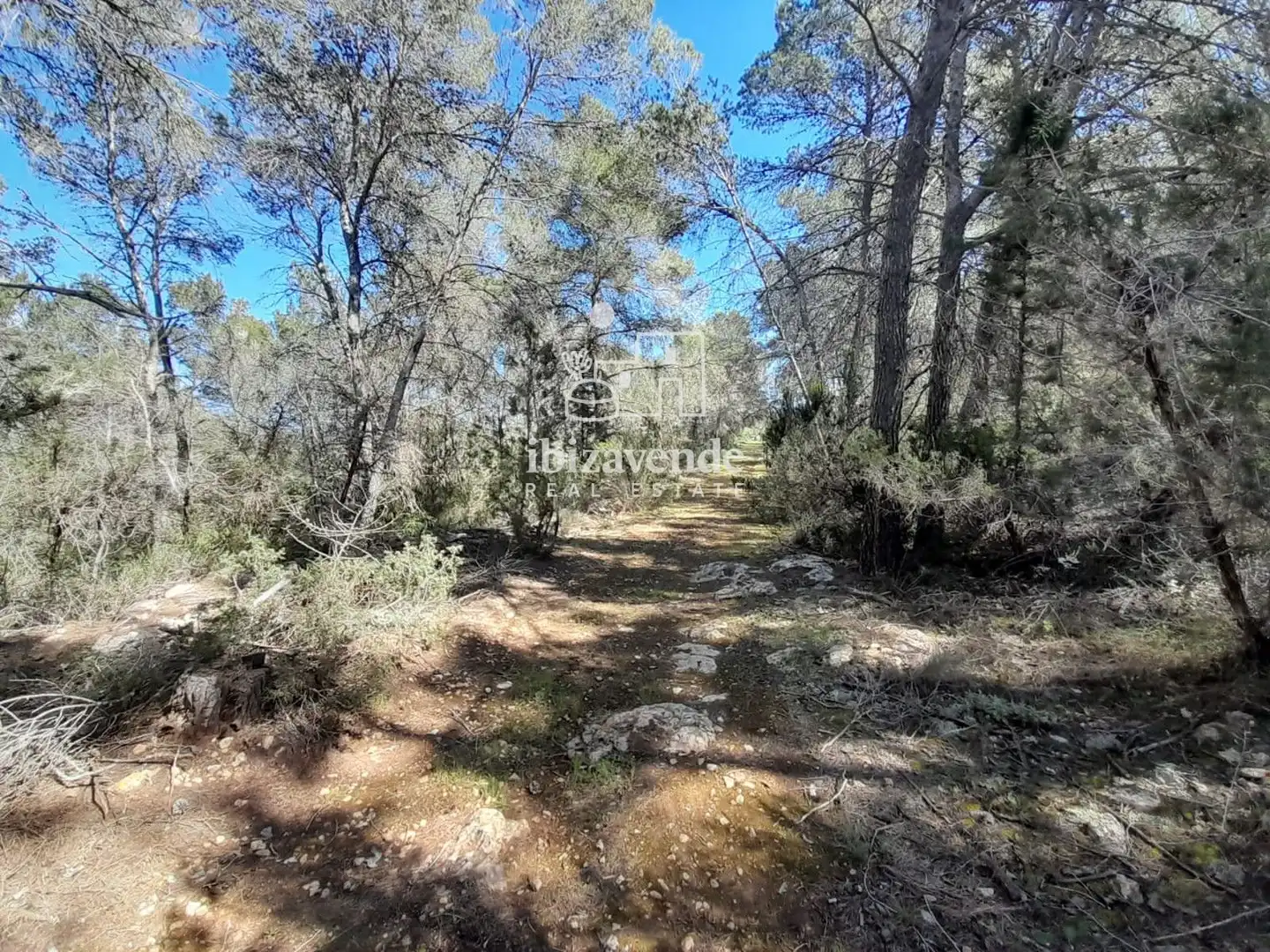 Terreny rústic en venda a es Pujolet, imagen 17