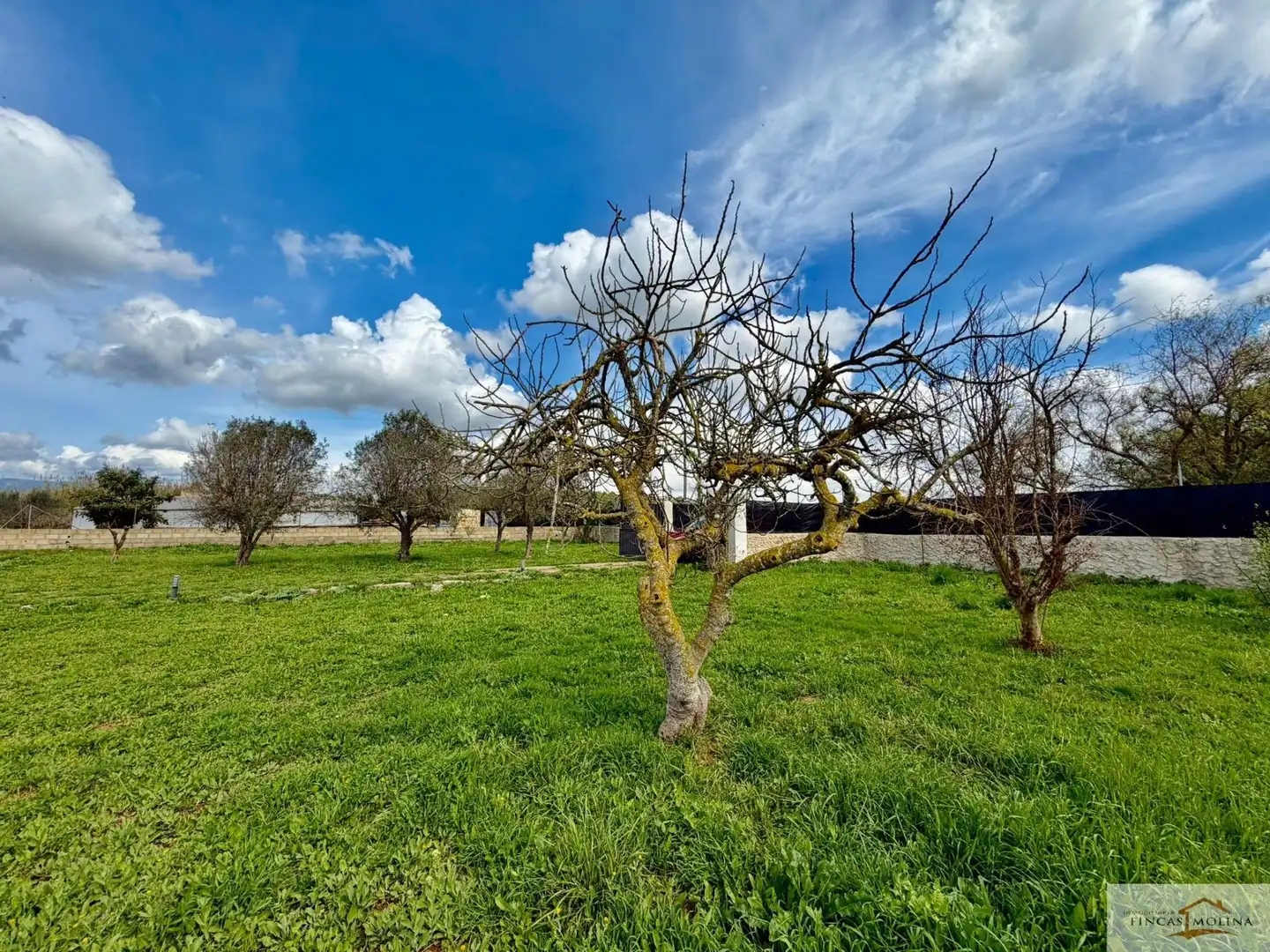 Country house for sale in Llevant
