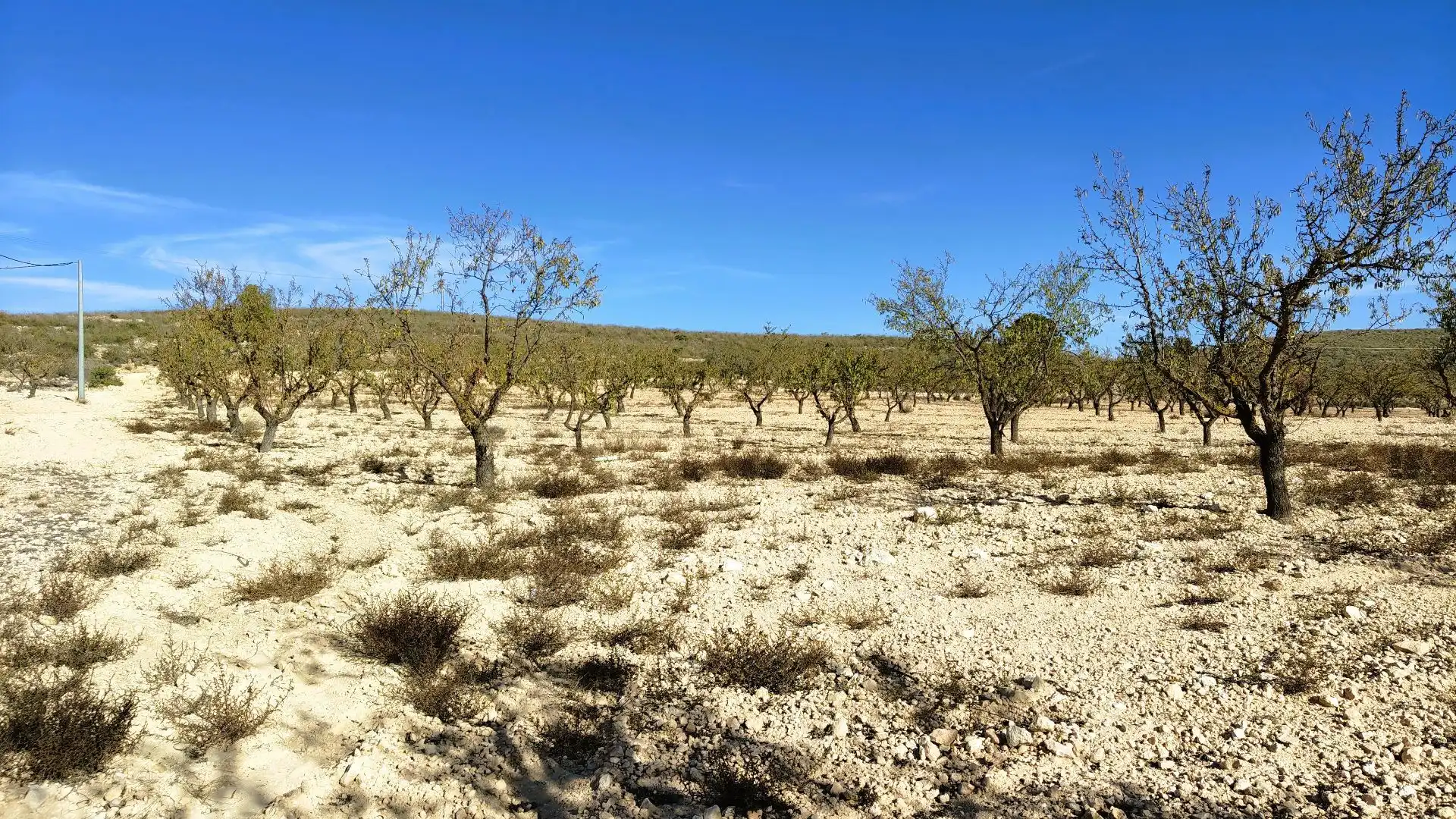 Lands and plots for sale in Abanilla, imagen 16