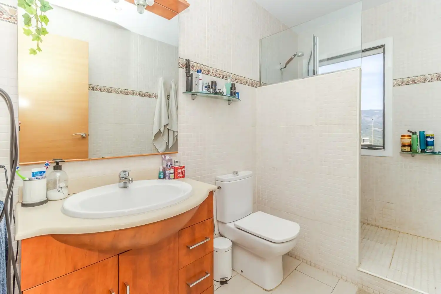 Baño de Edificio en venta en Castellar del Vallès