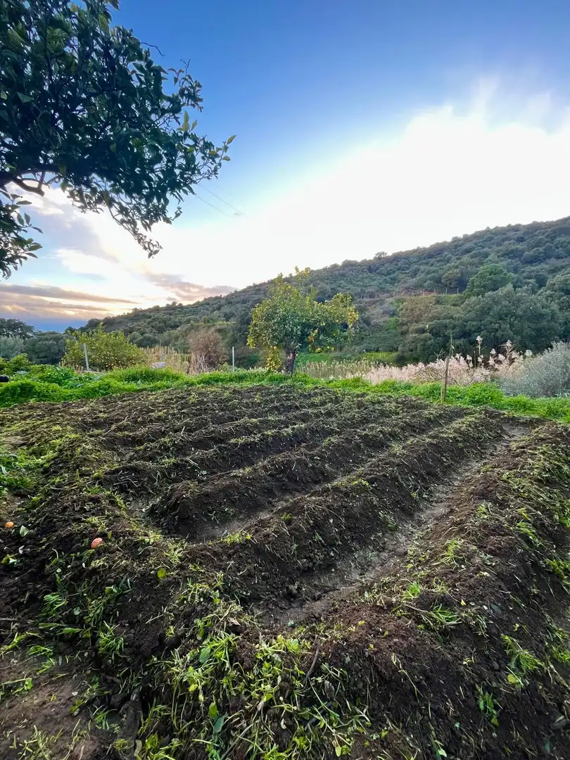 Finca rústica en venta en Altos de Estepona