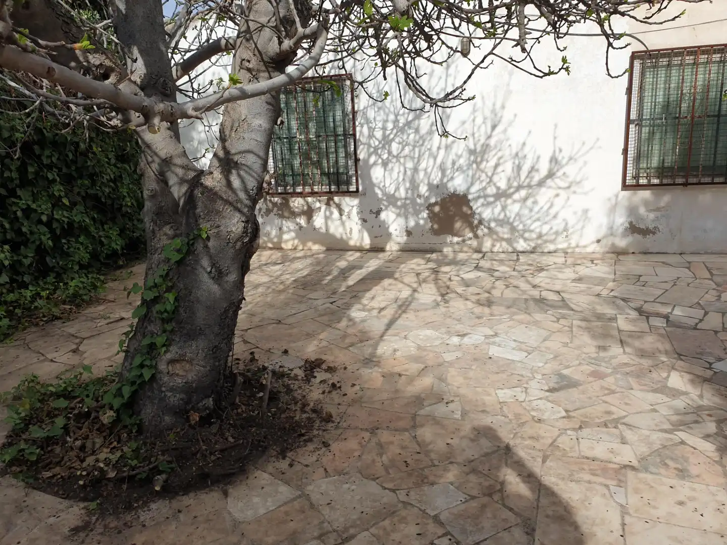 Garden of Houses for sale in Petrer  with Private garden