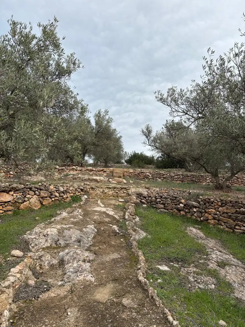 Terrain rustique à vendre à Xerta, imagen 7