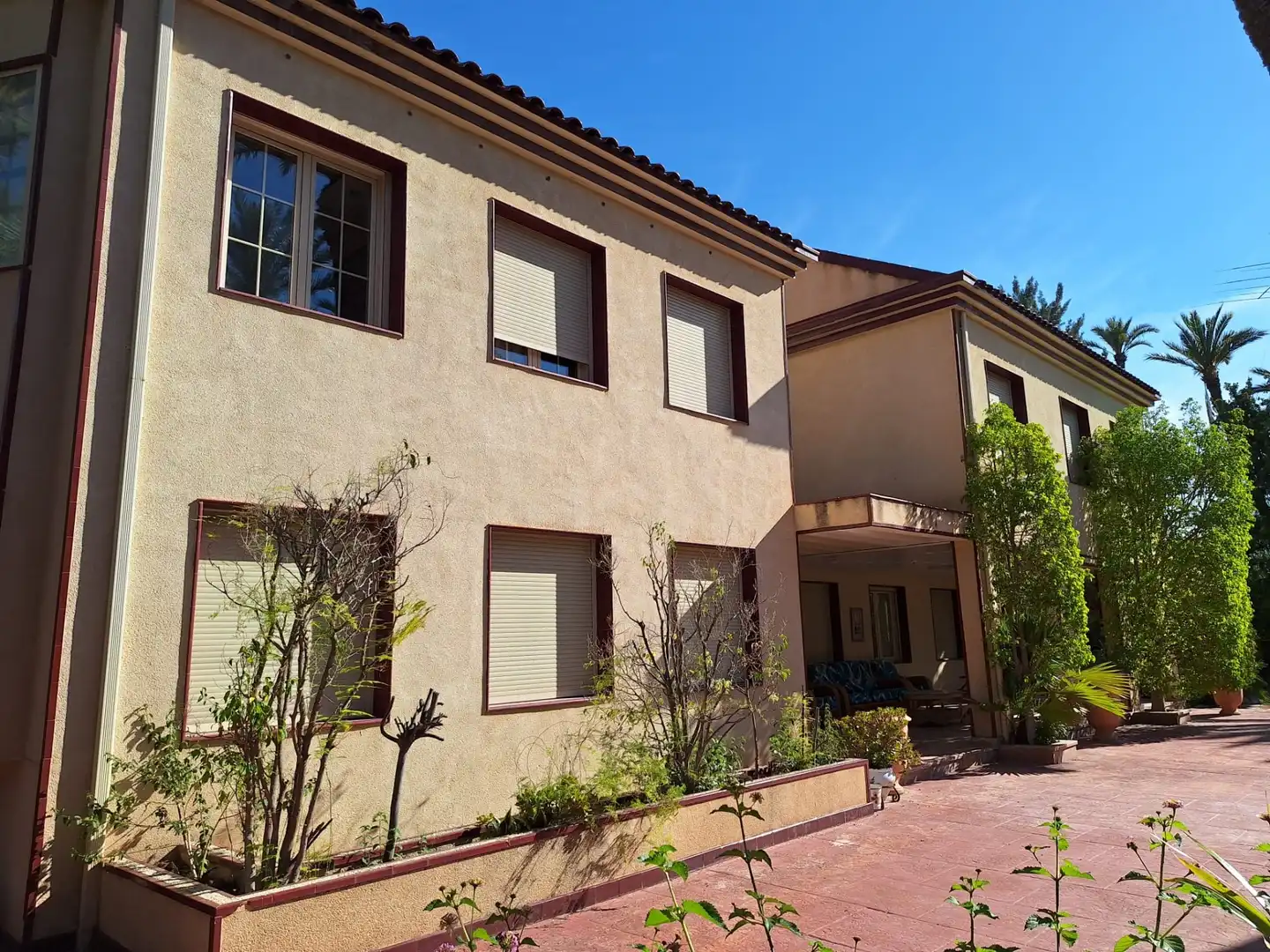 Vista exterior de Casa o chalet en venta en Elche / Elx