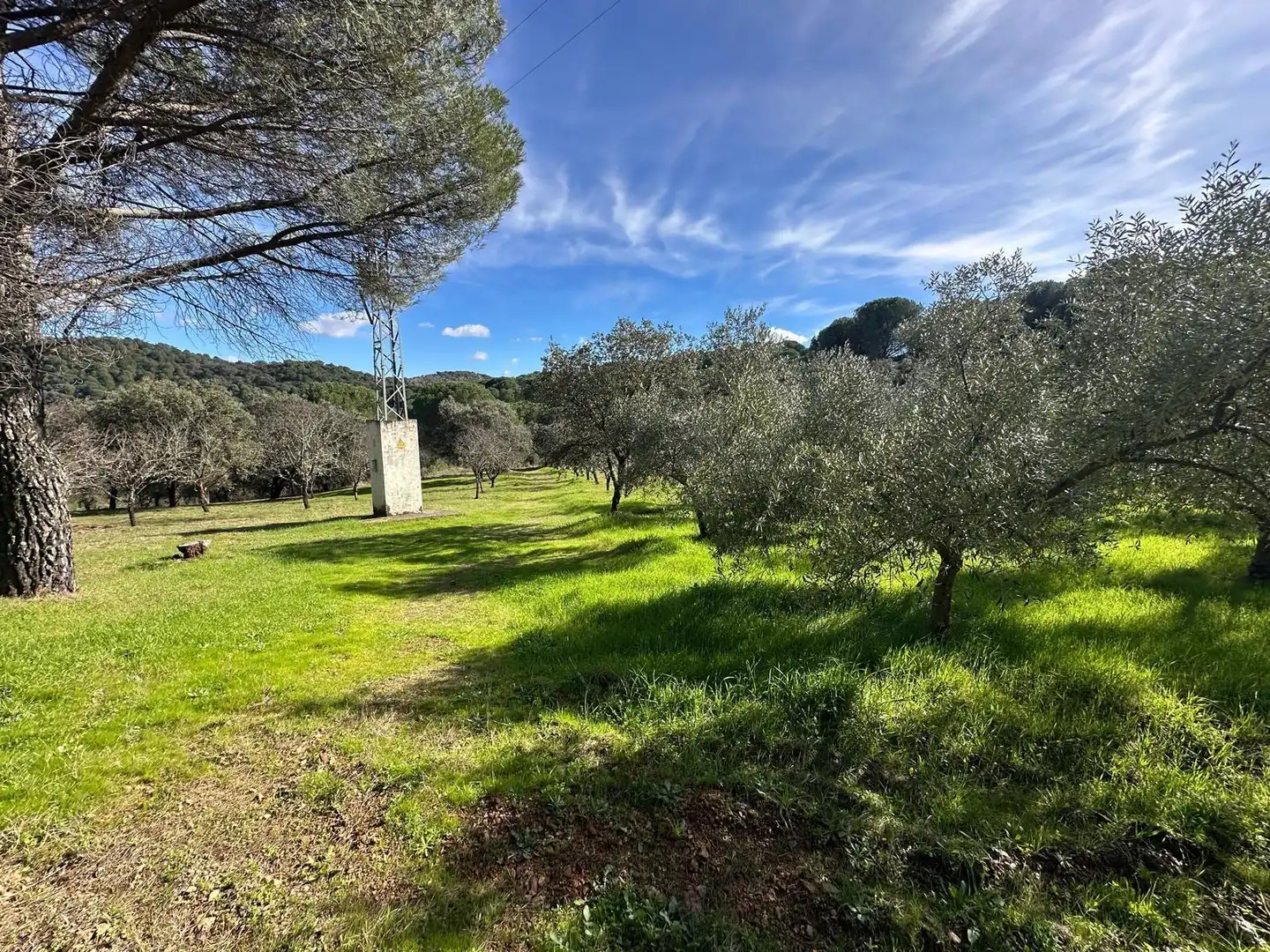 Casa o chalet en venta en Villaviciosa de Córdoba con Calefacción, Jardín privado y Terraza