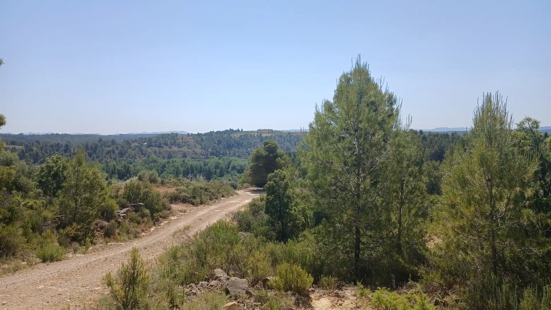 Terreno rustico in vendita a N/A, imagen 12