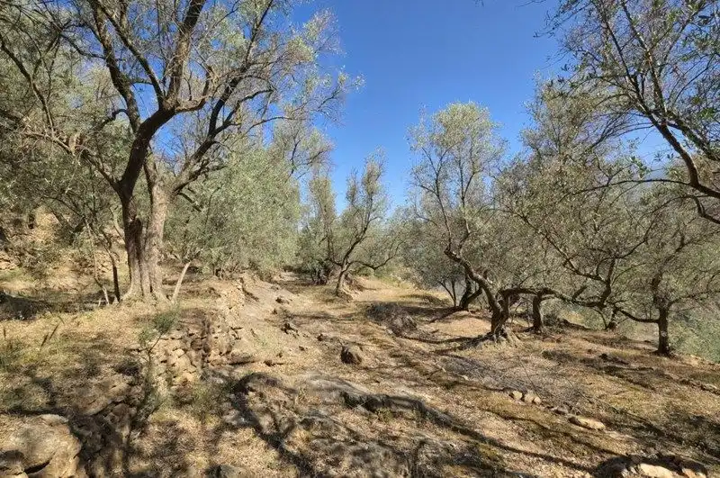Terreno rustico in vendita a El Pinar, imagen 3