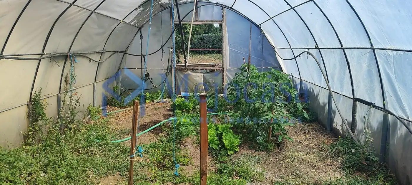 Jardí de Casa o xalet en venda en Valdetorres de Jarama amb Calefacció, Jardí privat i Terrassa