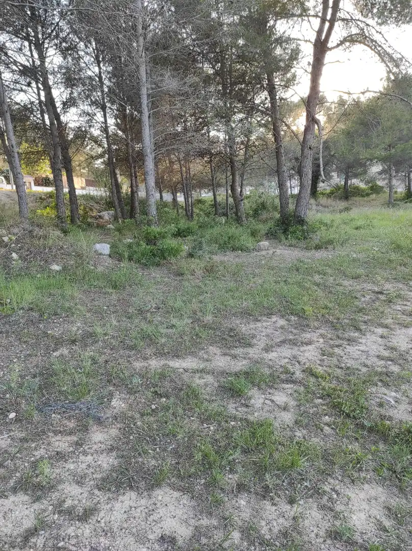 Terreno residencial en venta en Canyelles, imagen 4