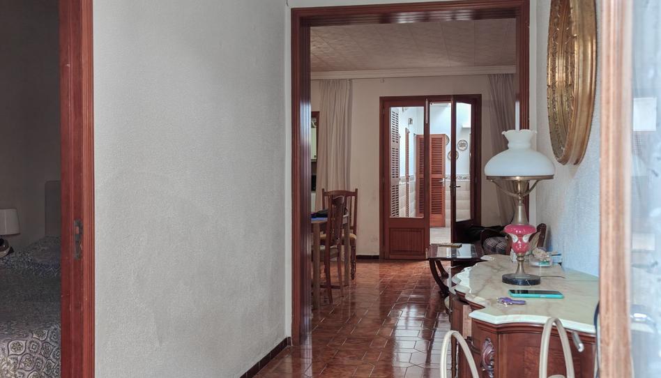 Photo 1 of Apartment to rent in Porto Cristo, Illes Balears