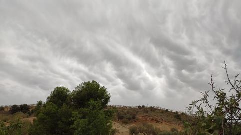 Photo 5 of Premises for sale in Lubrín, Almería