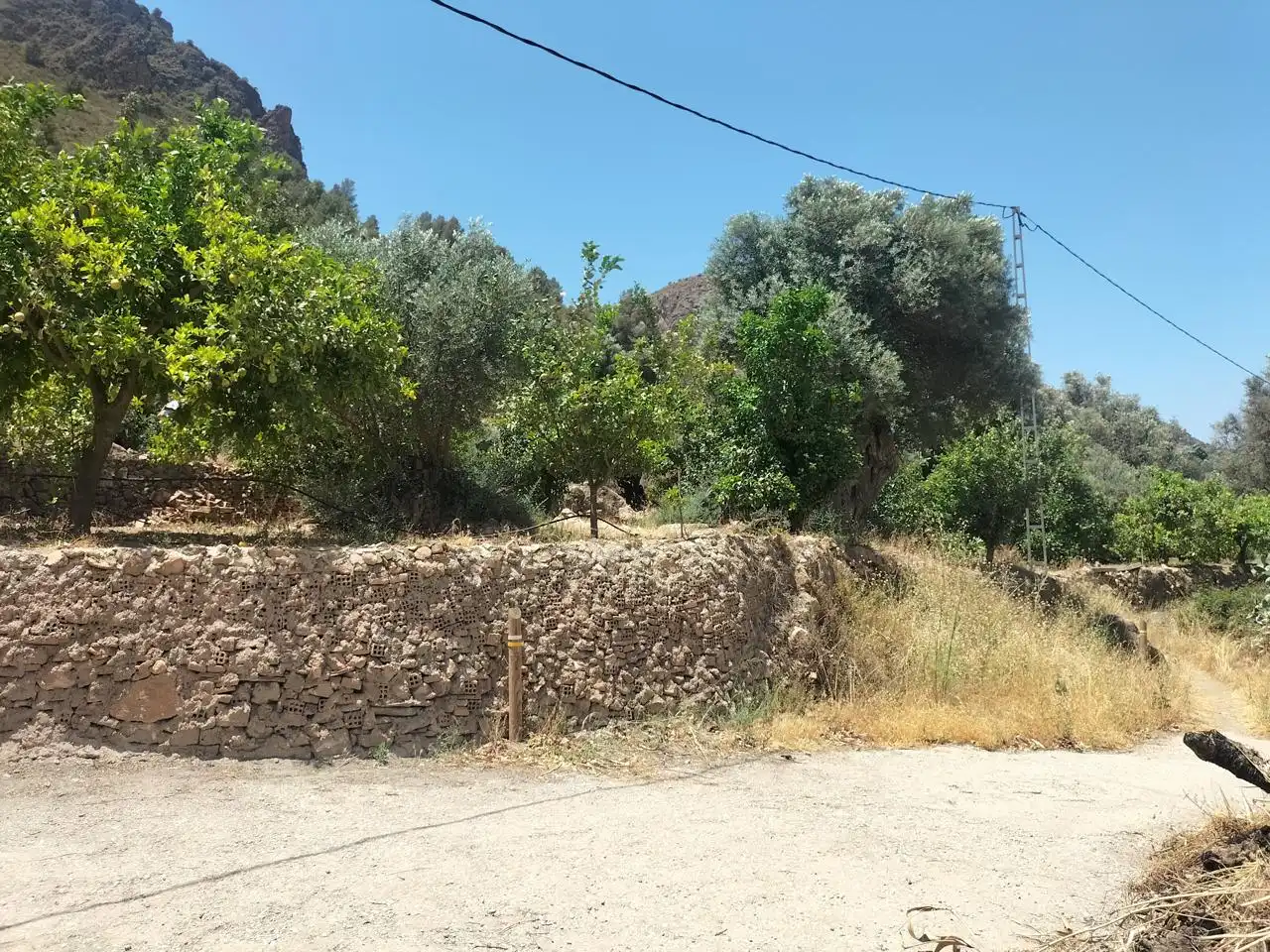 Casa rústica en venda a El Pinar, imagen 7