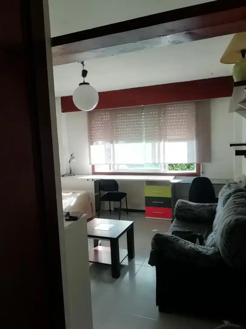 Sala d'estar de Estudi en venda en Santiago de Compostela  amb Moblat, Forn i Rentadora
