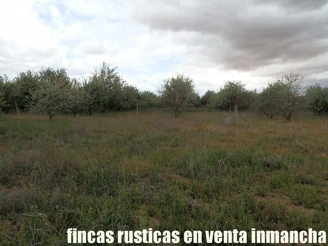 Terreny rústic en venda a Alcázar de San Juan, imagen 26
