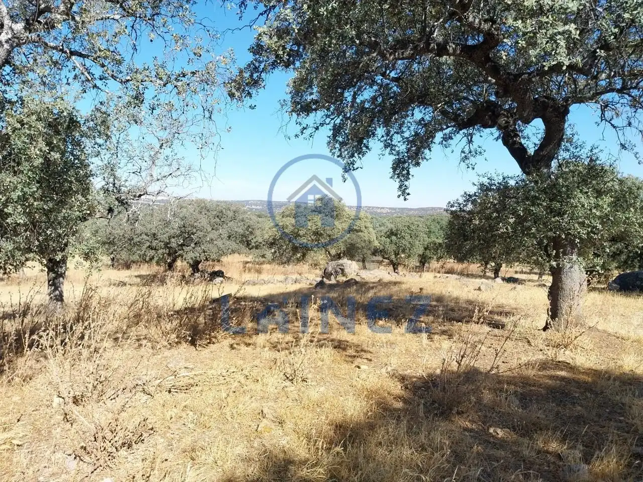 Lands and plots for sale in Fuente Obejuna, imagen 26