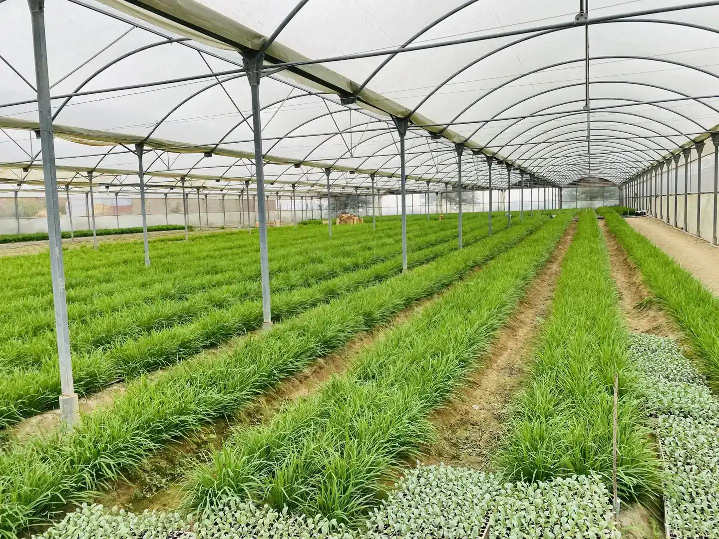 Vista exterior de Finca rústica en venda en Ctra Jerez - Ctra del Puerto