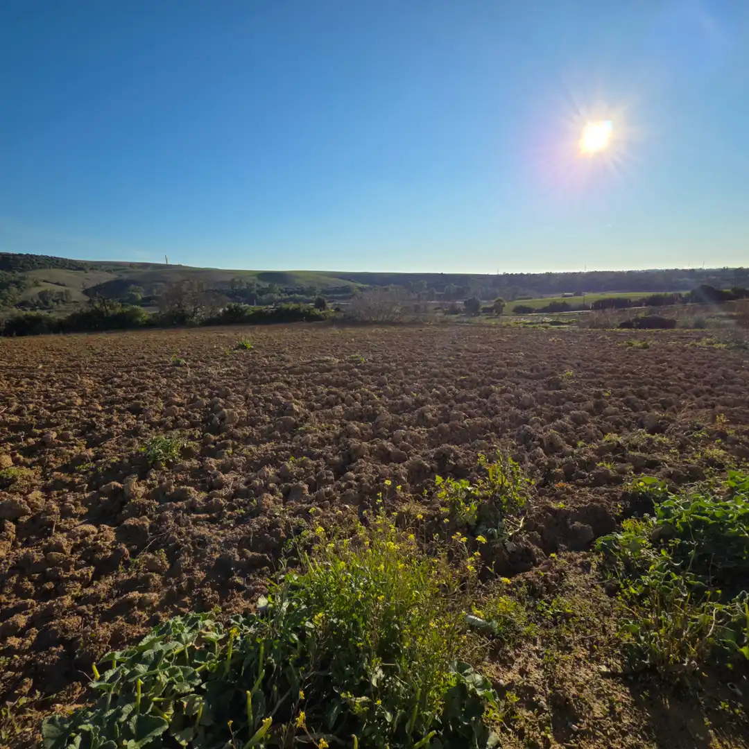Terreni e lotti in vendita a Arcos de la Frontera, imagen 44