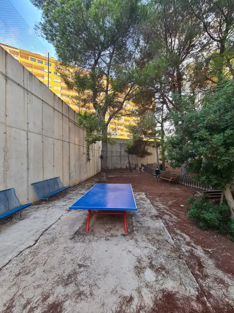 Ground floor with terrace for sale in Orihuela Costa, imagen 35