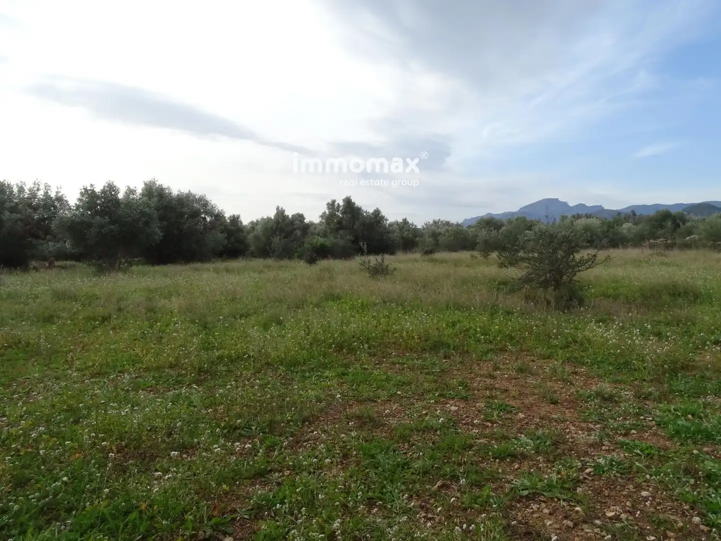 Terrain résidentiel à vendre à 16, imagen 2