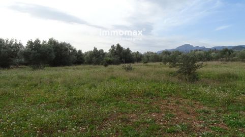 Finca rústica en venta en Xerta con dos casetas, imatge 2