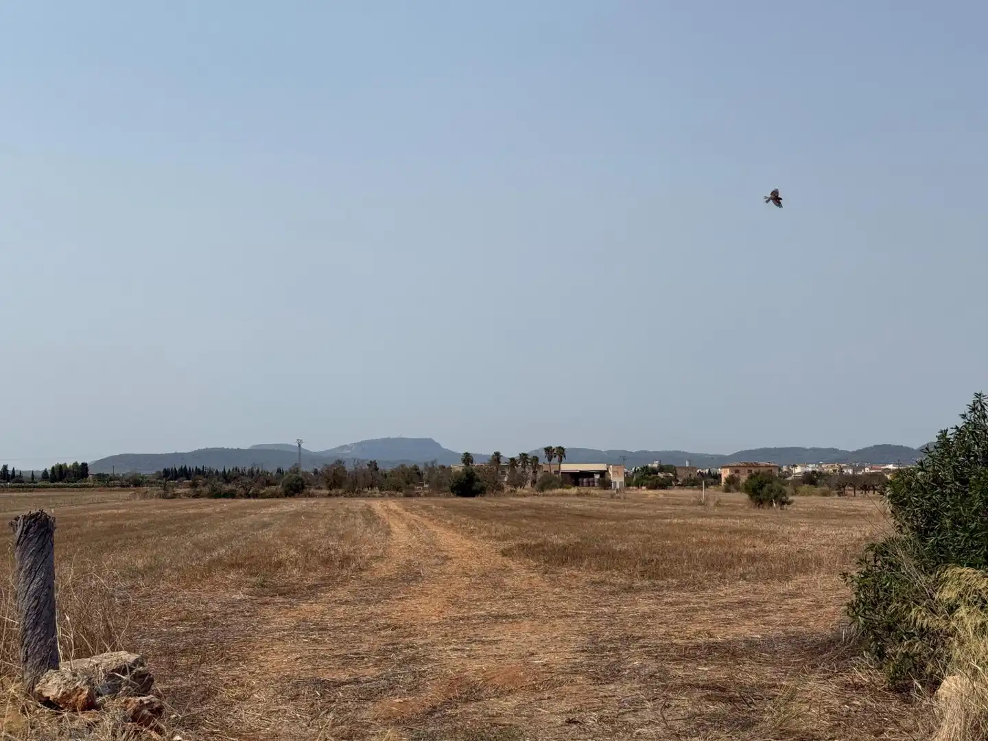 Grundstücke und Bauplätze zum Verkauf in Campos poble, imagen 6