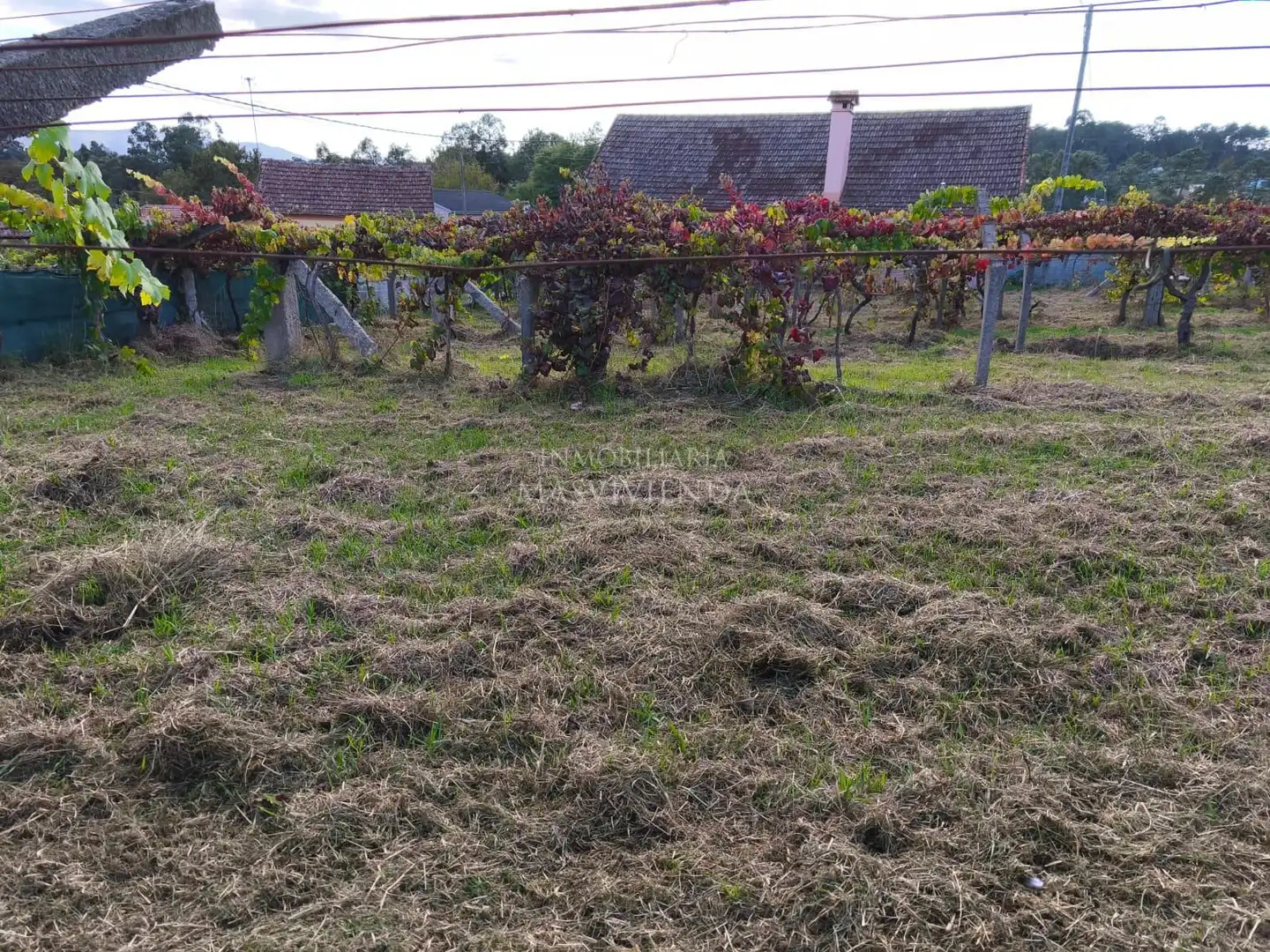 Casa o xalet en venda a Salvaterra de Miño