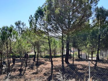 Terreno residencial en venta en La Torre de Claramunt